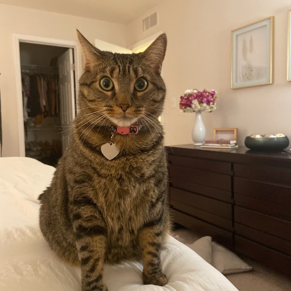 Meet your Posher, Samandina